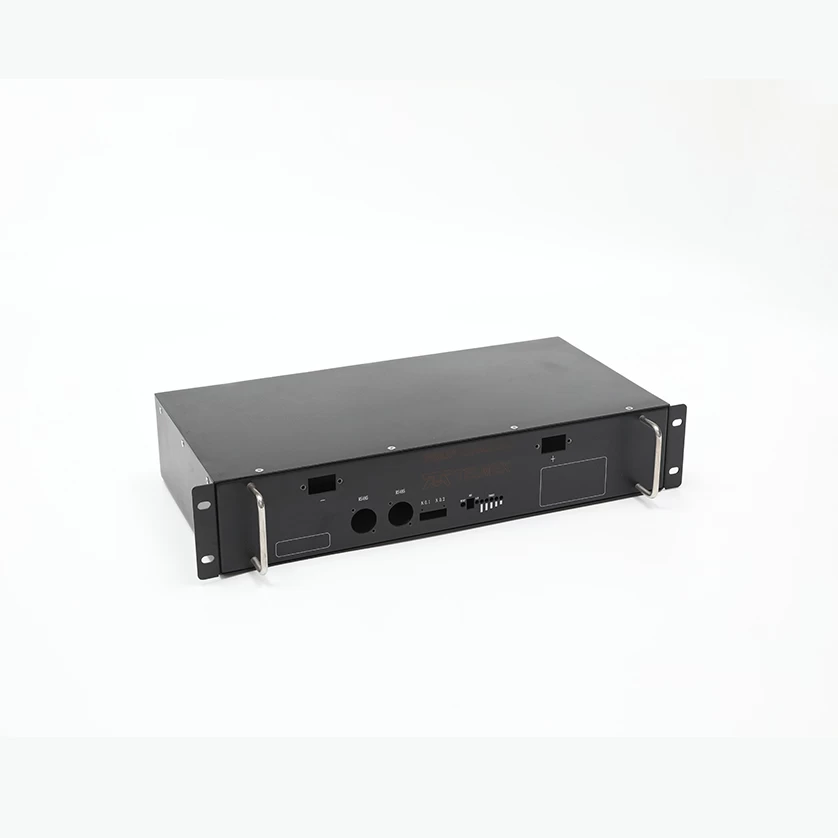 Custom Wall Mounted Network Server Rack Mounting Chassis Enclosure Supplier