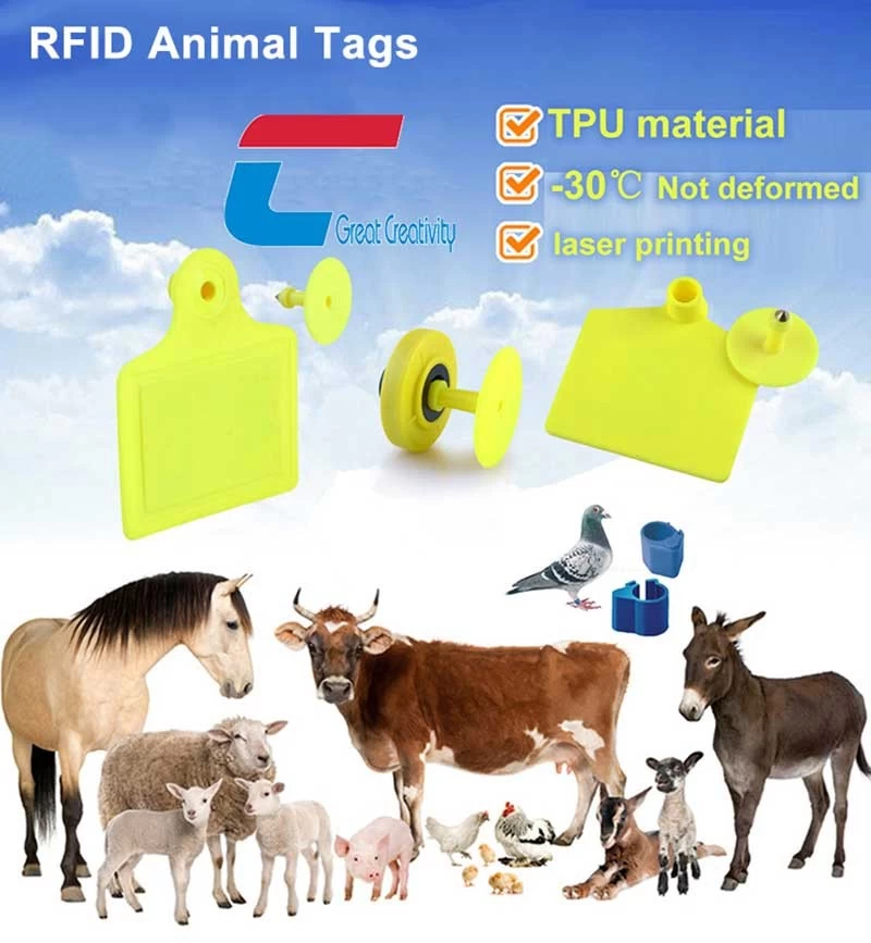 rfid animal tracking ear tag