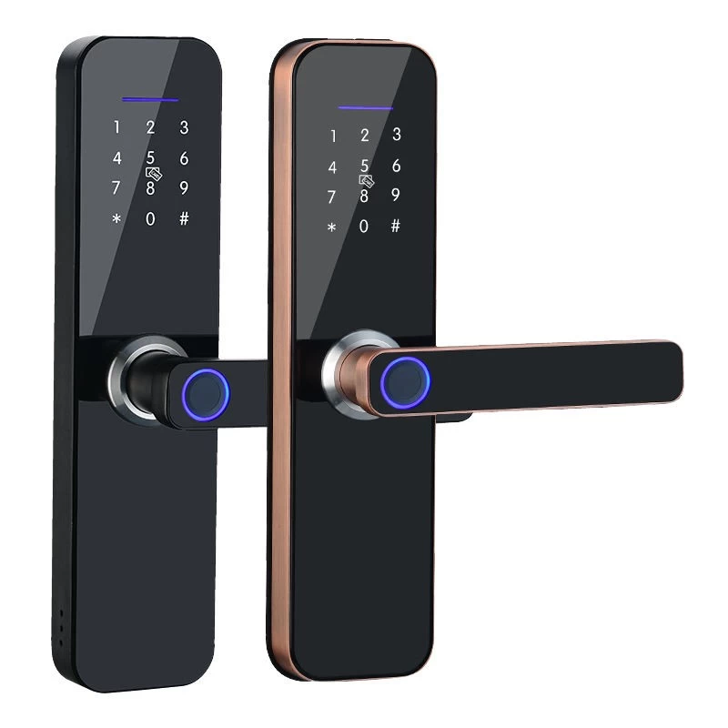 TTlock Wifi Remote Control Smart Lock M1 Home Security Door Access Control Anti-theft Lock Biometric Fingerprint Lock