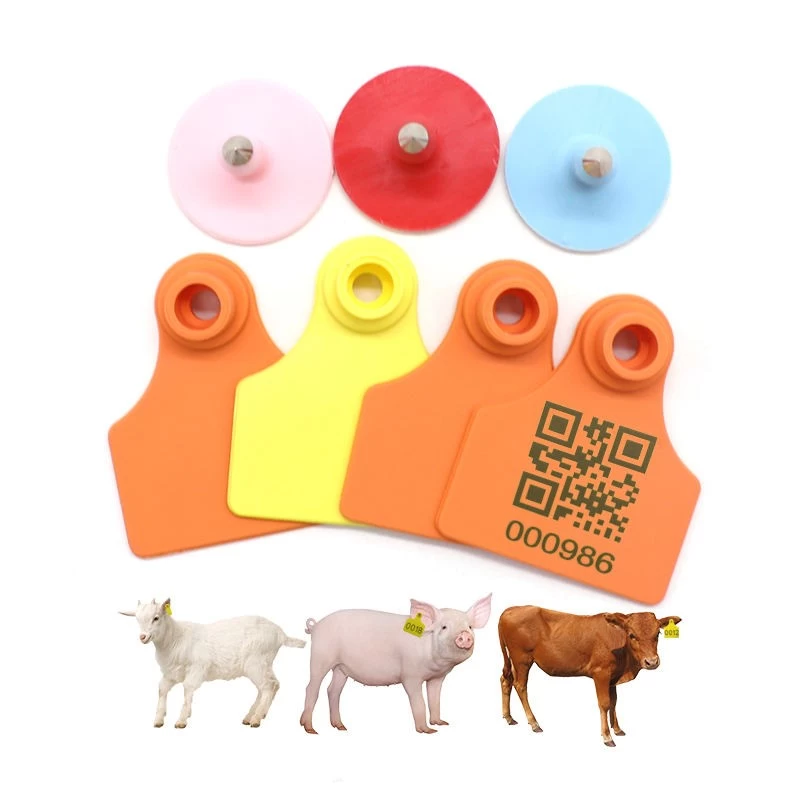 Chine étiquette d'oreille de chèvre de mouton étiquette d'oreille de triangle de vache étiquette d'oreille de porc vert fabricant