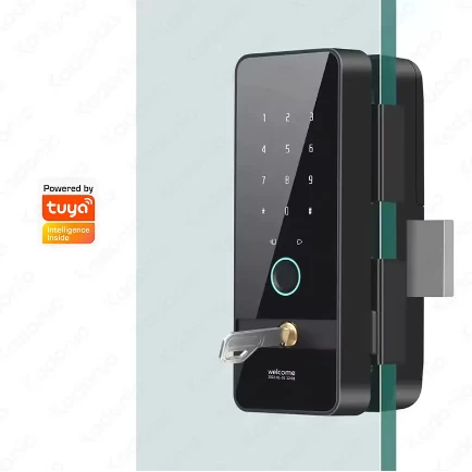 Chine Kadonio – verrou à crochet intelligent magnétique, boulon électrique, biométrique pour porte coulissante en verre et aluminium, boutons de porte en verre fabricant