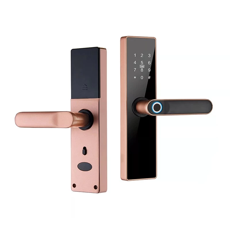 Chine Verrouille de porte intelligente numérique haute sécurité Smart Ble Tuya Wifi Empreinte digitale Electronicles sans clé Lock fabricant