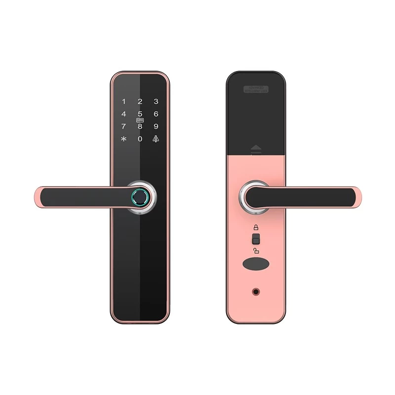 Chine Verrouillage de porte intelligent de fourniture d'usine haute sécurité verrouillage de porte d'empreintes numériques numérique avec poignée serrures intelligentes imperméables pour la maison fabricant