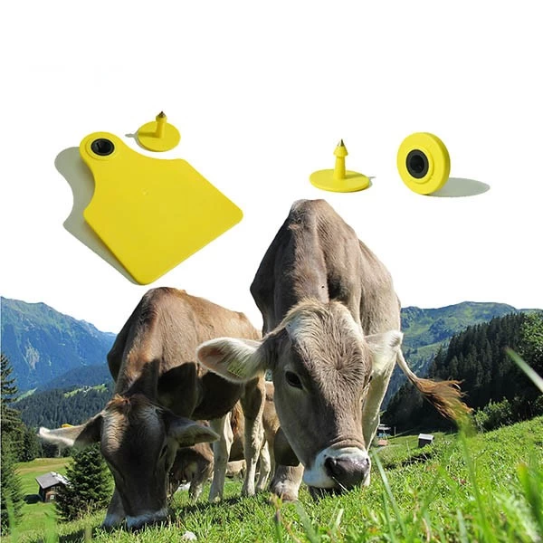 China Livestock Rfid Barcode Animal ID Tracking Animal Ear Tag for Cattle / Sheep / Pig / Cow Passive UHF RIFD Animal Ear Tag manufacturer