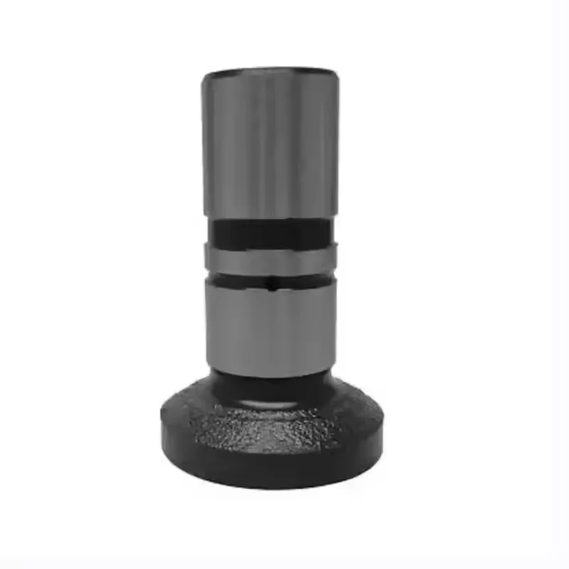 China Adracing Custom MWM X10 X12 Engine Valve Tappet Lifters 961003250014 manufacturer
