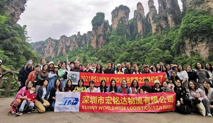 Swwls china shipping agent Cheap Shipping Rates freight shipping door to door to philippines