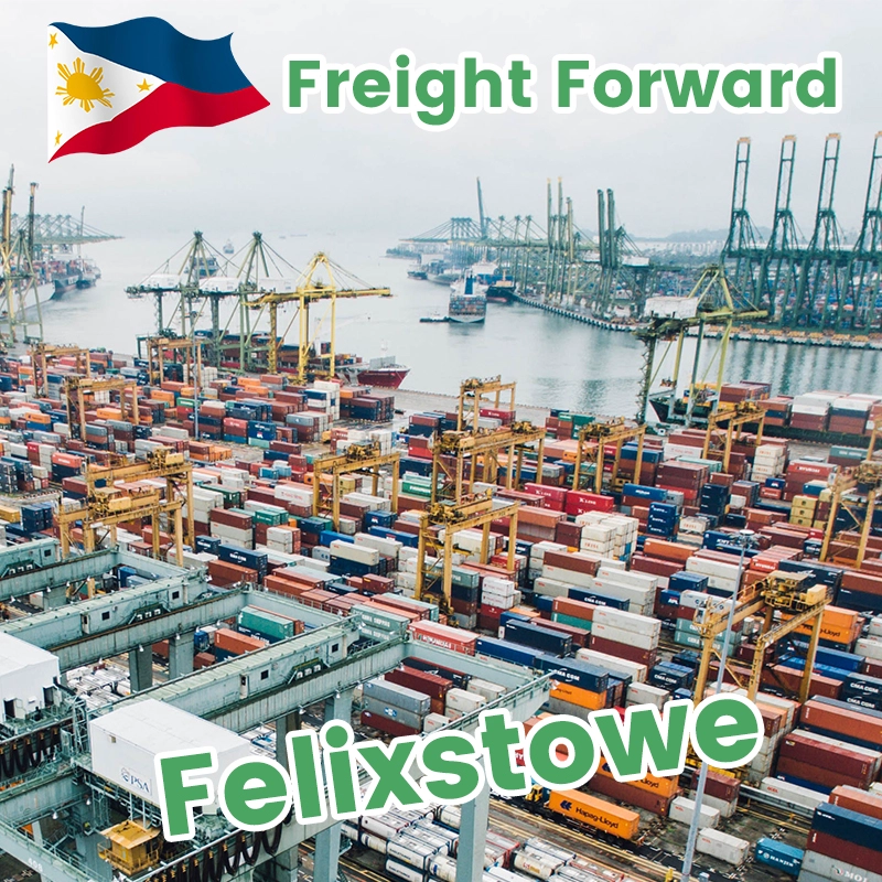 Global Logistics ningbo China to Philippines Freight Forwarder DDP Sea shipping door to door logistics service best rates to manila cebu davao