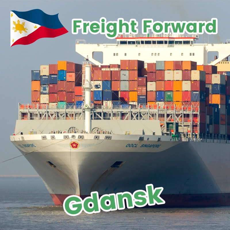 China Swwls Global Shipping From China to Manila Cebu Davao Philippines ddu ddp shippin agent door to door shipping cargo service Freight Forwarder