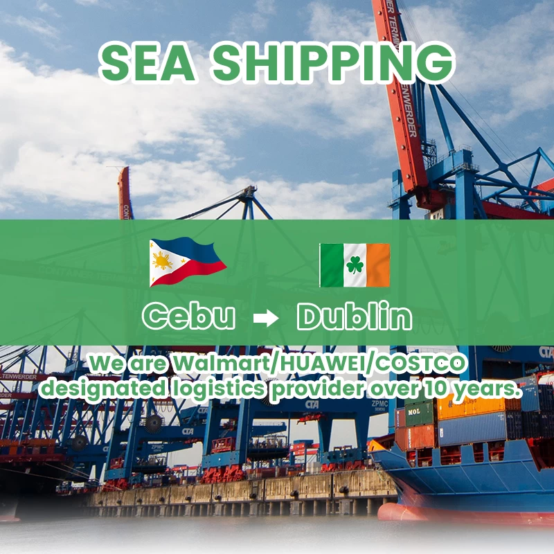中国发货代理商廉价运输从菲律宾到德国菲律宾到英国海运费率