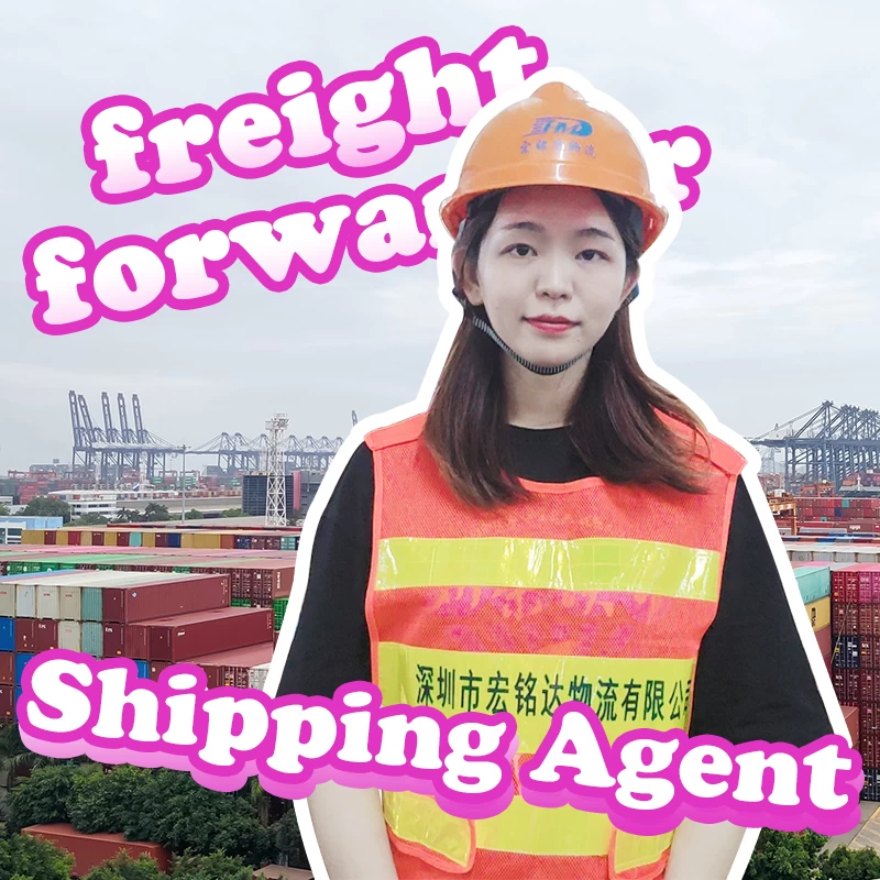 Philippines shipping by sea freight agent door to door delivery transport service China