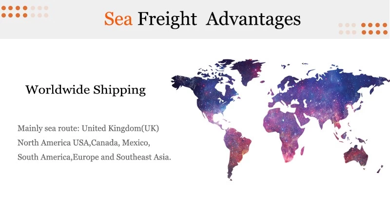 From Philippines to USA  Sea Freight Forwarder  DDP door to door service express delivery agent shipping china 