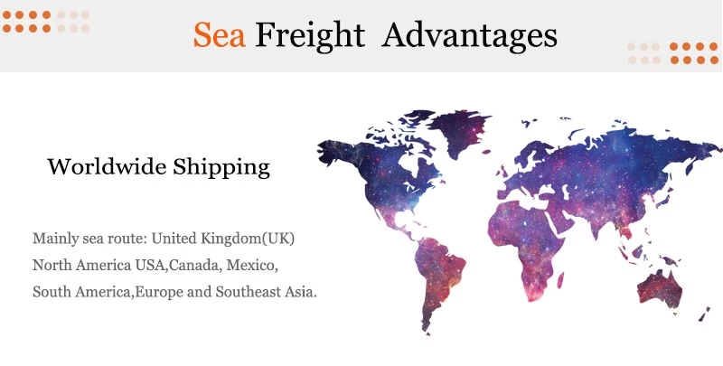 Sea Freight Forwarder from Philippines to USA  Shipping agent  DDP express service