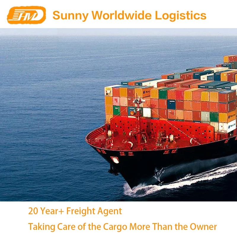Shipping agent Philippines Manila Cebu to Toronto sea freight DDP DDU door to door service