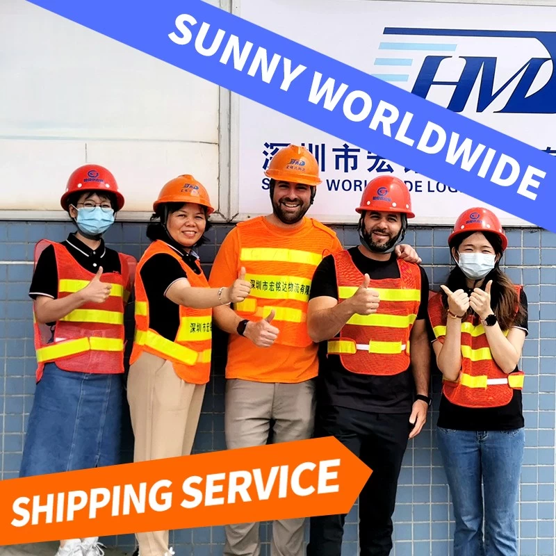 Professional cargo Sea freight forwarder rate from shenzhen China to Malaysia logistics services swwls