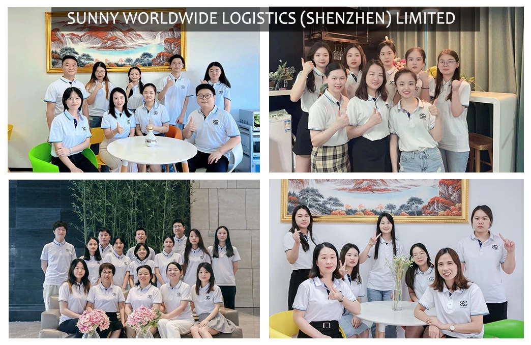 Freight forwarder from zhejiang china shipping sea shipping agent Philippines to australia
