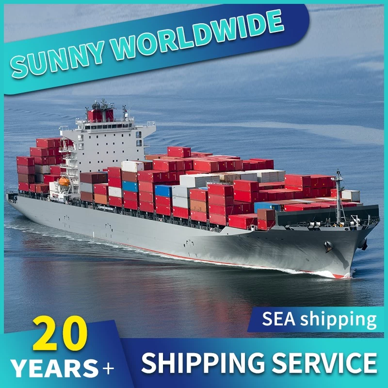 China Swwls door to door shipping forwarder from Guangdong to Philippines sea shipping DDP 
