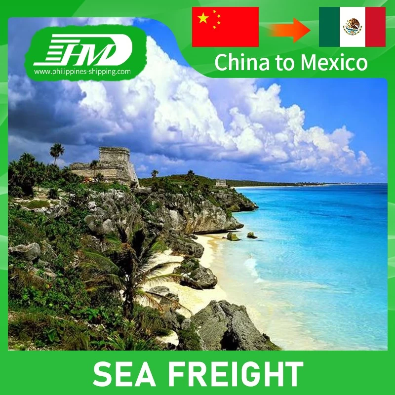 China Sea Freight Shipping Company From China to Canada US Canada Mexico Australia Excellent Forwarder 