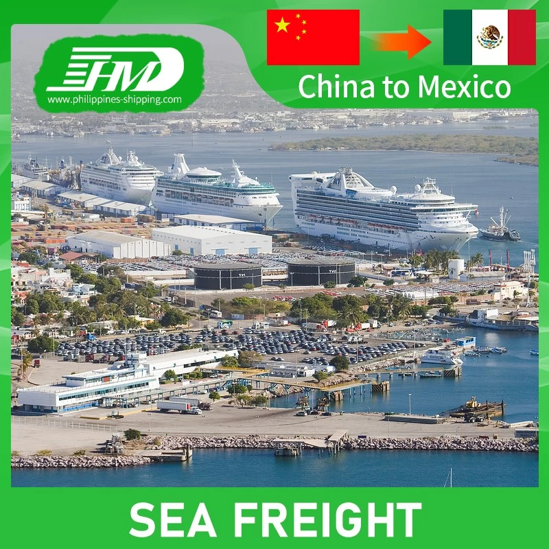 LCL Sea Freight Forwarder DDwith Trucking Services