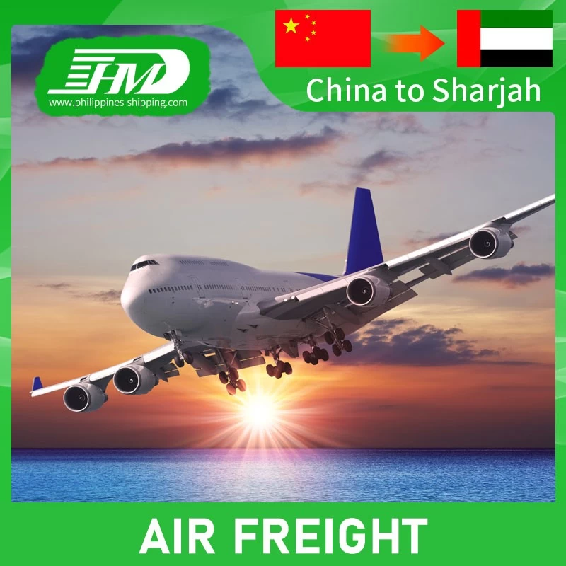 从中国到美国/非洲/亚洲/欧洲的空中货运货运代理