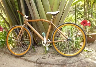 porcelana ¿Has visto las bicicletas de bambú antes? fabricante
