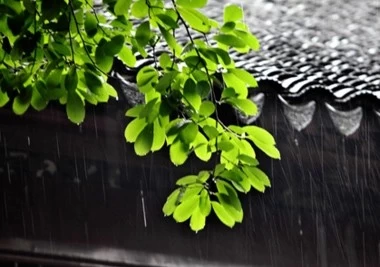Κίνα Κατά διαστήματα ψιλόβροχο την εποχή των βροχών στο Σούζου κατασκευαστής
