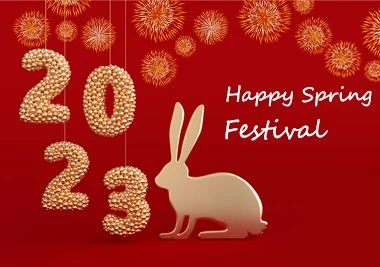 China How Do Chinese Celebrate the Spring Festival? manufacturer