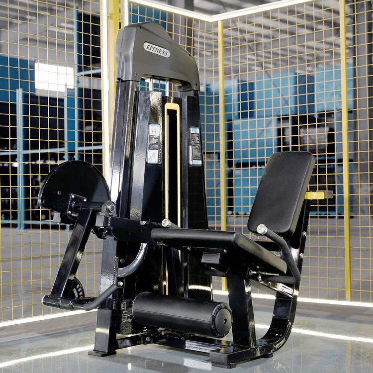 China China factory gym leg extension equipment manufacturer
