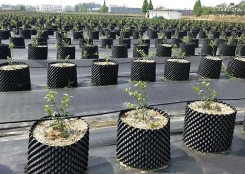 Do you know what the air pruning pot is for?