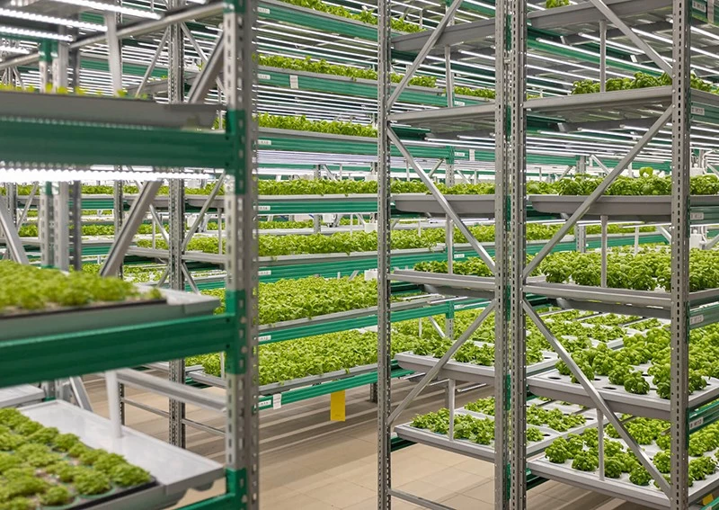 Vertical farming - A sustainable future