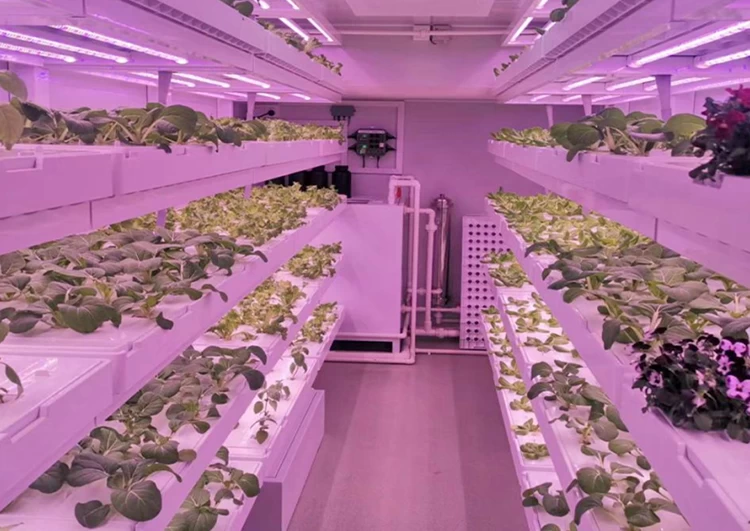 The three main forms of vertical farming