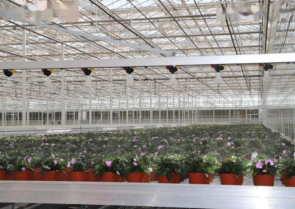 Ebb and flow table can Increase flower production by 2-4 times