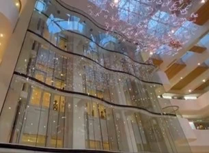 Vidrio de seguridad de la pared del elevador del centro comercial