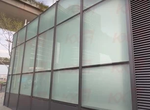 Frosted Insulated Wall Glass