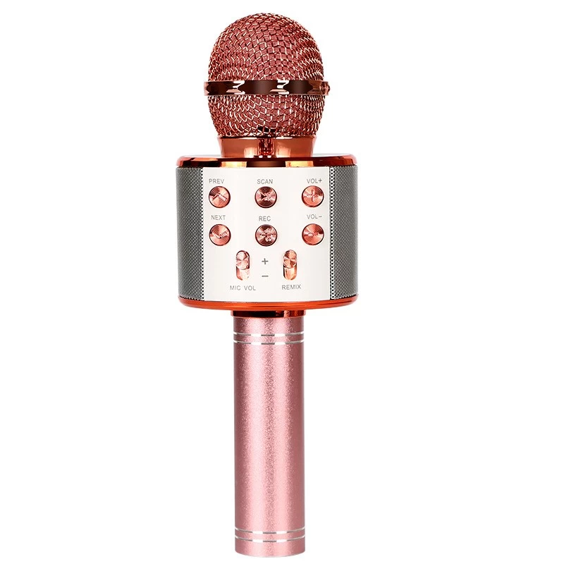 China Wireless Microphone Speaker NSP-0320 manufacturer
