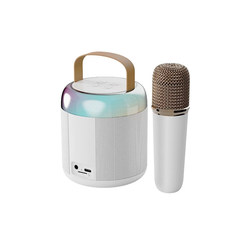 China Portable Speaker  with Microphone manufacturer