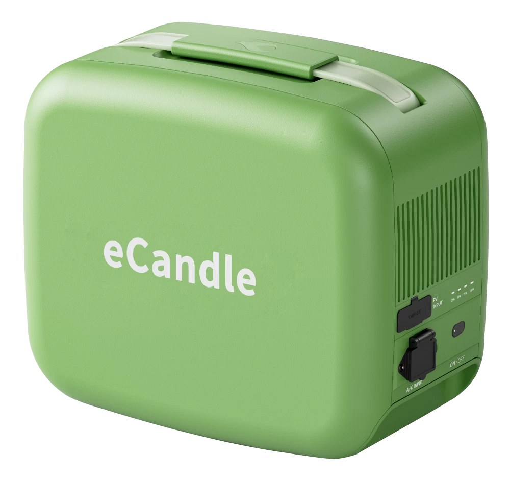 Which type of battery cell should be used for portable power station: lithium iron phosphate or ternary lithium