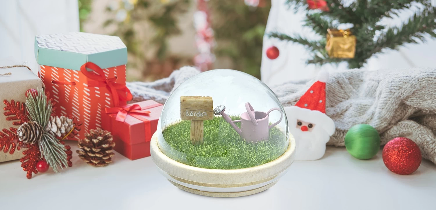 Wholesale 3D patterned plaque and watering pot transparent hemispherical wood lid