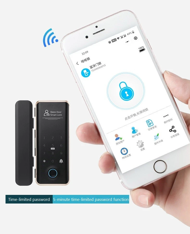 Smart Glass Door Lock Manufacturer