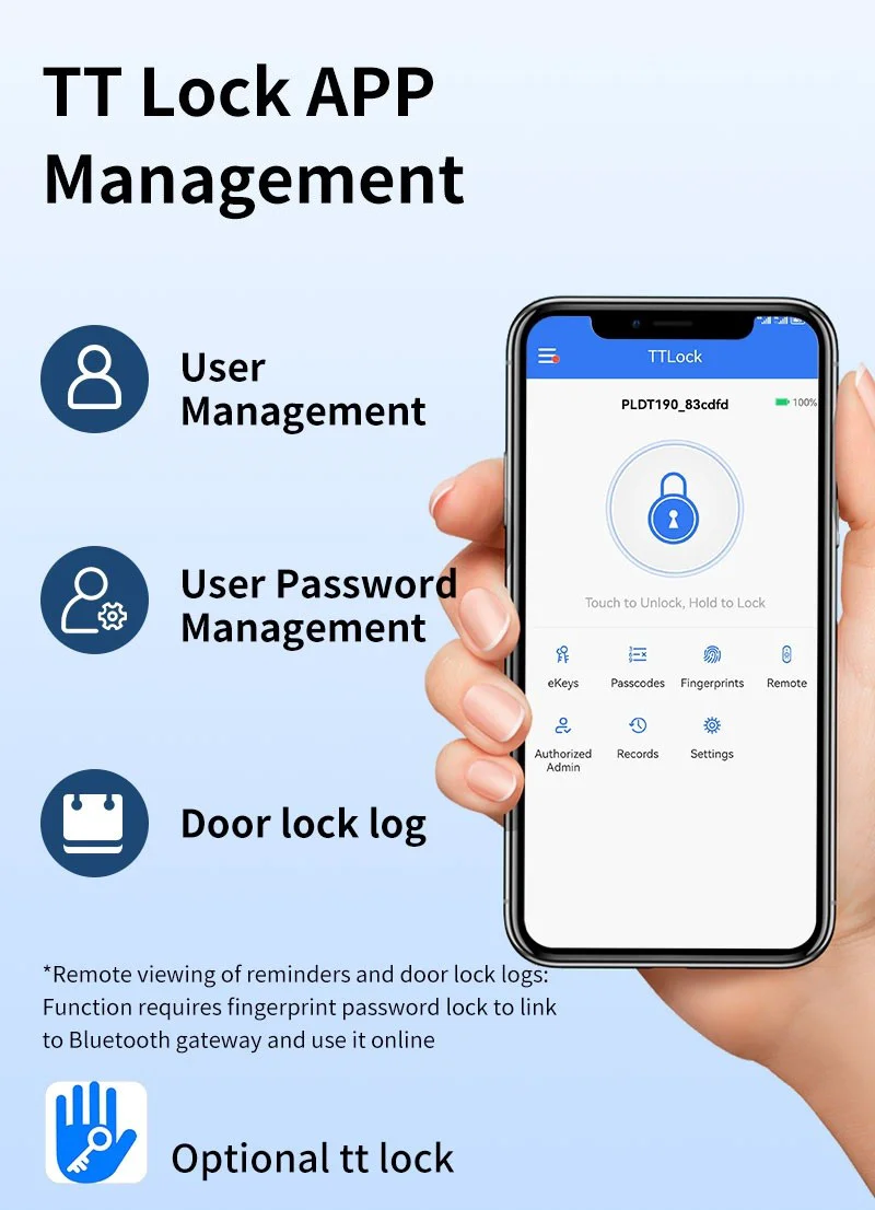 electronic lock manufacturer