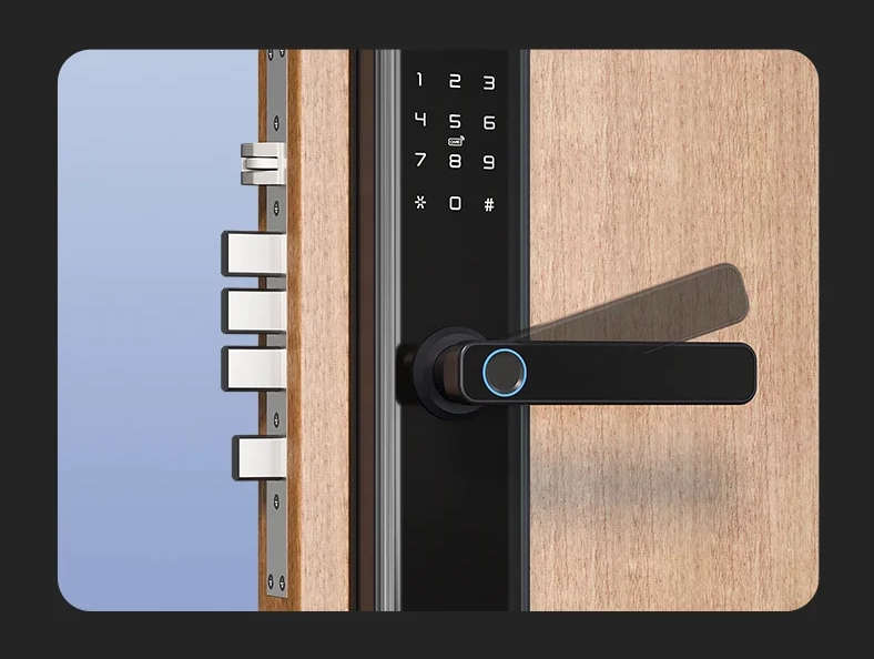 Glass Door Smart Lock factory China