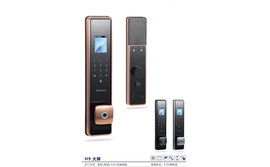 Face Recognition RFID Door Lock manufacturer China