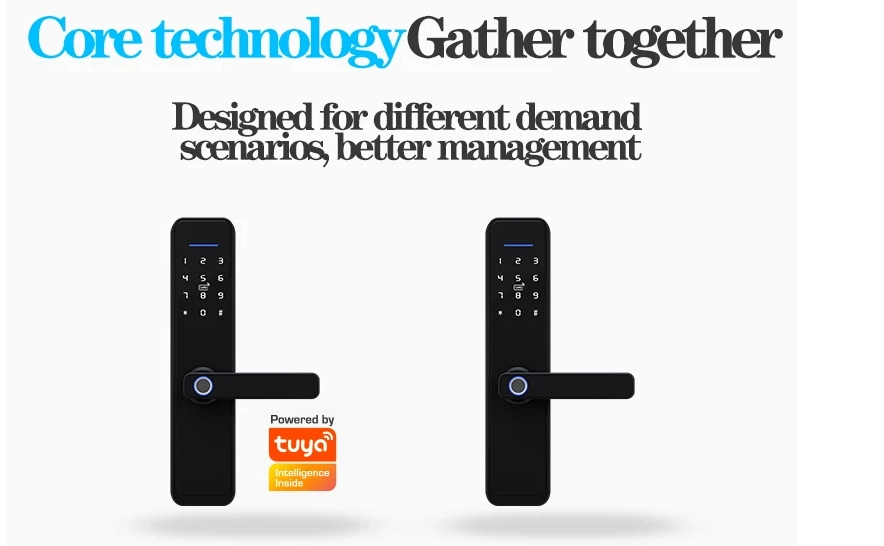 Fingerprint door lock factory China