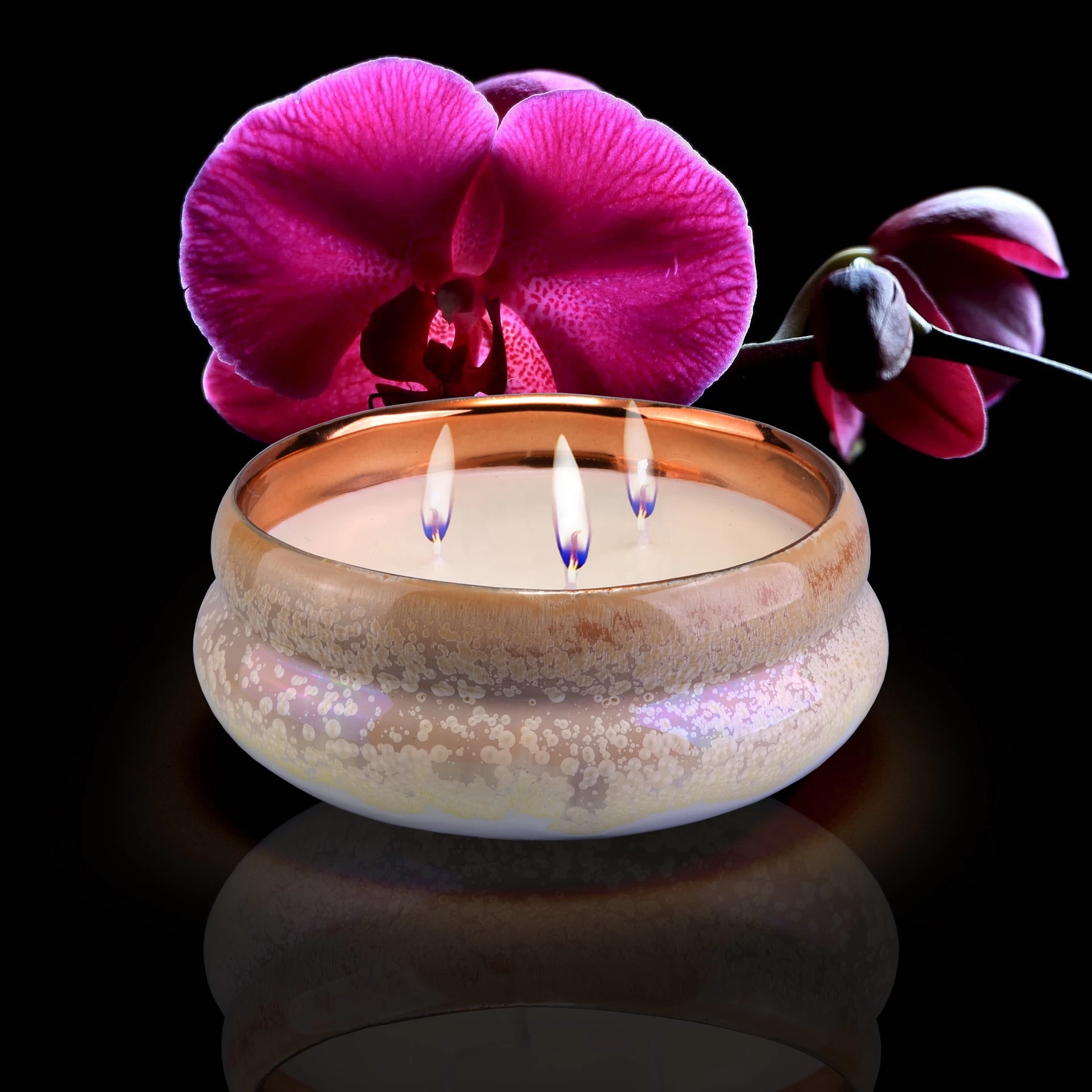 China 10oz 20oz Wholesales 3 wick  luxury ceramic candle jars holders manufacturer