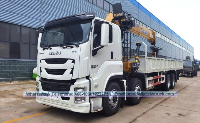 Mga Maaasahang Lifting Solution: Bakit Mahalaga ang Supplier ng Pinagkakatiwalaang Na-customize na Hydraulic Truck Mounted Crane China para sa Global Operations