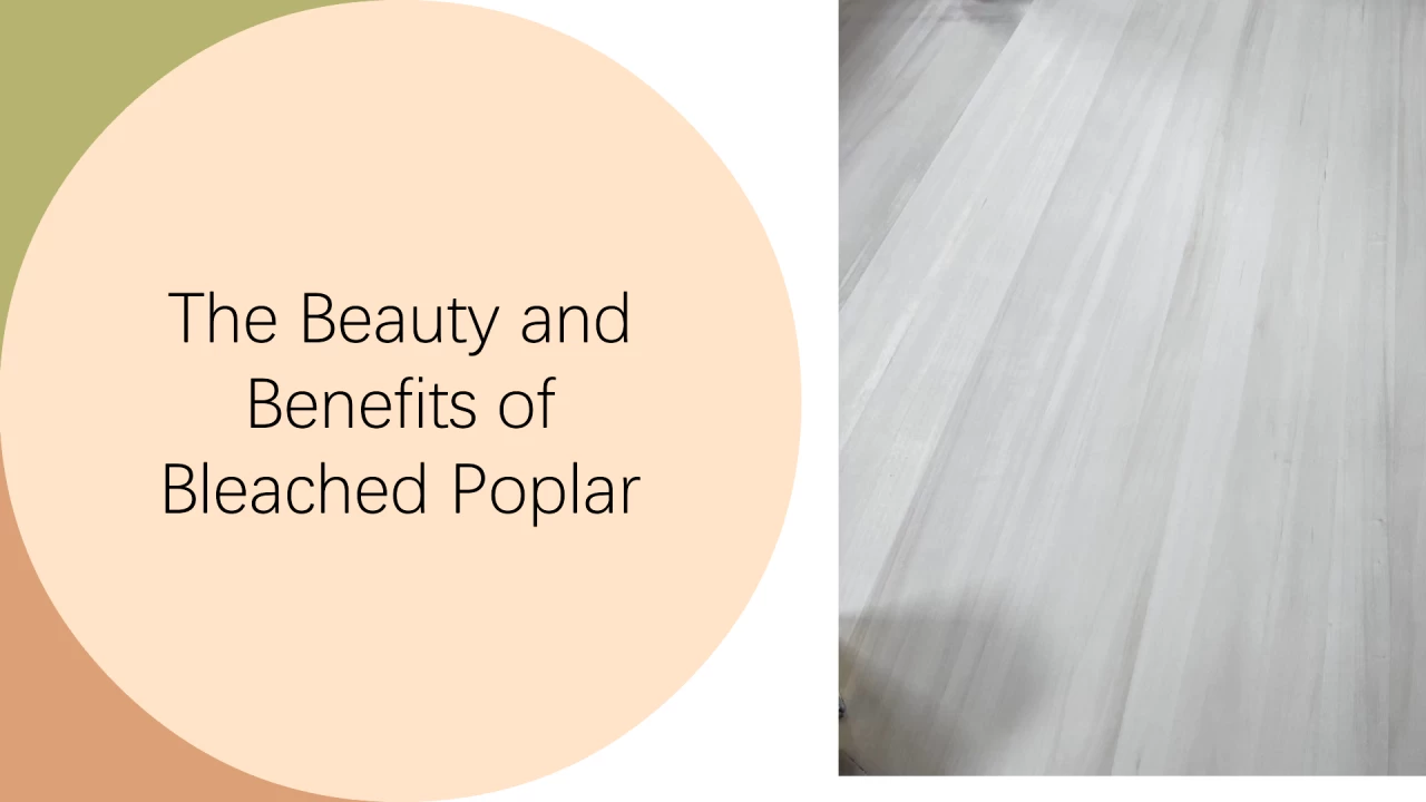 Bleached Poplar: Isang Comprehensive Analysis mula sa Aesthetics hanggang Practicality