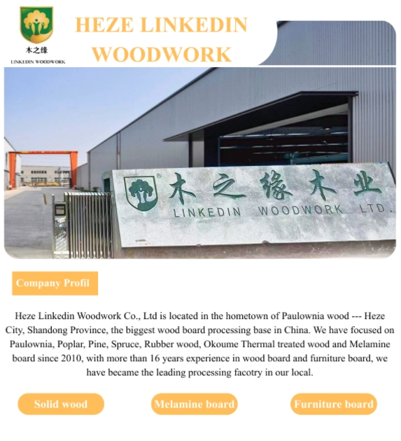 16 Years of Craftsmanship: Building a Global Sustainable Timber Supply Chain