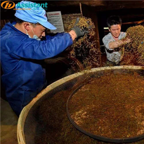 Китай Какая оптимальная температура и время для ферментации черного чая? производителя