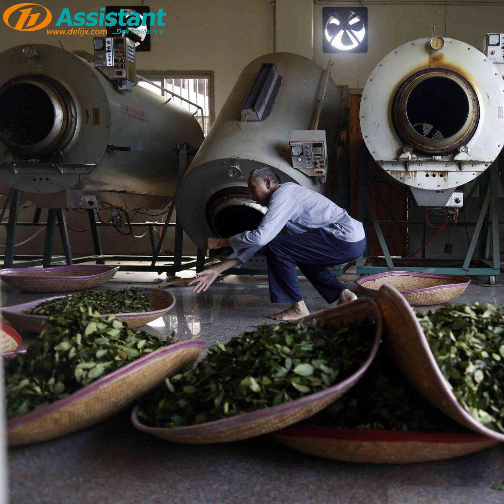 Китай В чем состоят технические моменты «фиксирующей» обработки зеленого чая? производителя