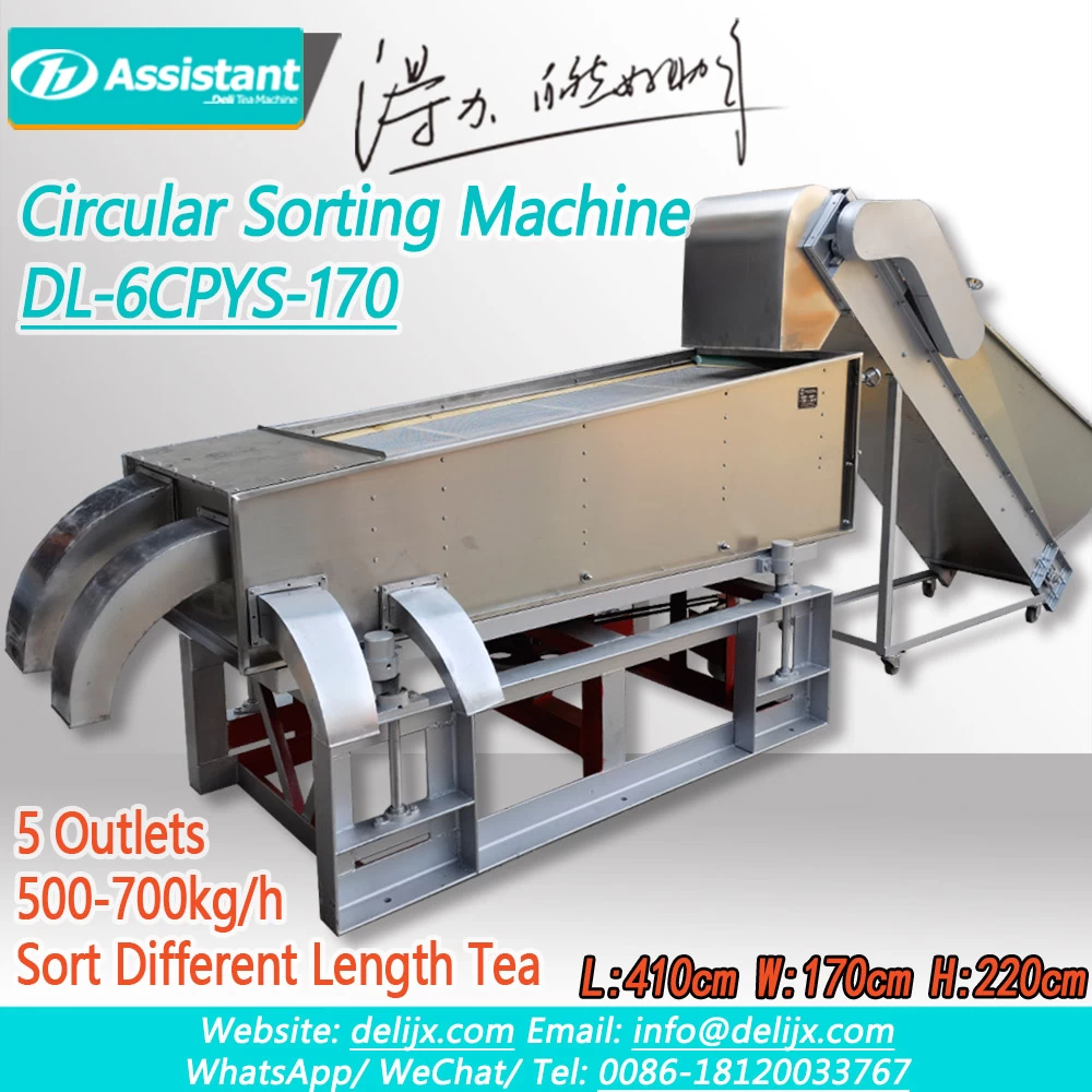 Китай 
Плоскостная сортировочная машина с круглым грохотом для чайных листьев DL-6CYPS-170 производителя