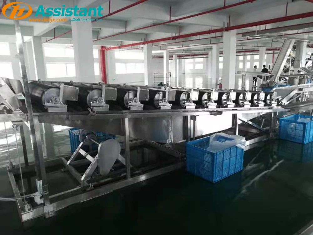 China Tea Electrostatic Dust Removal Clearner Machine DL-6CJZ-135-6B manufacturer